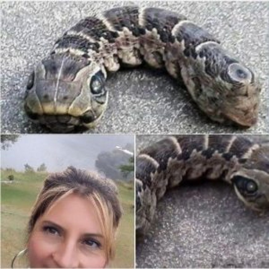 Woman discovers strange snake-like creature – you won’t believe what it really is…