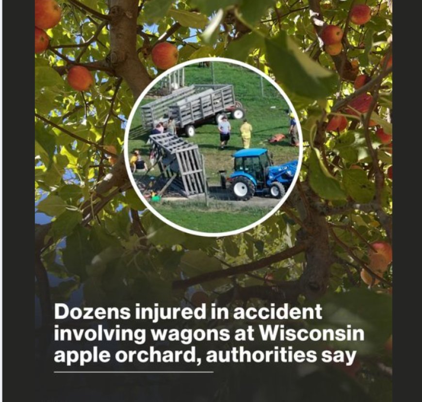 Dozens injured after wagon overturns at Wisconsin apple orchard: Authorities